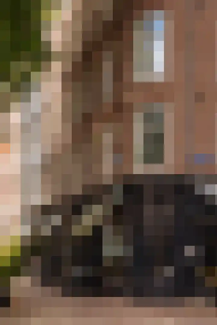 Saenredamstraat 20 E Amsterdam thumbnail 23
