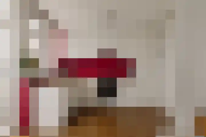 Saenredamstraat 20 E Amsterdam thumbnail 4