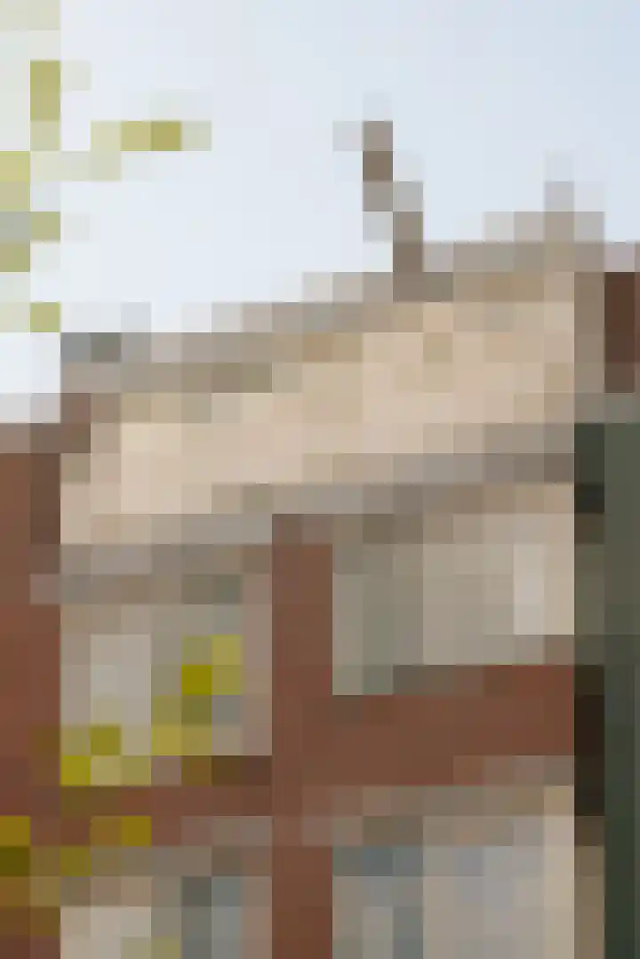 Saenredamstraat 20 E Amsterdam thumbnail 7