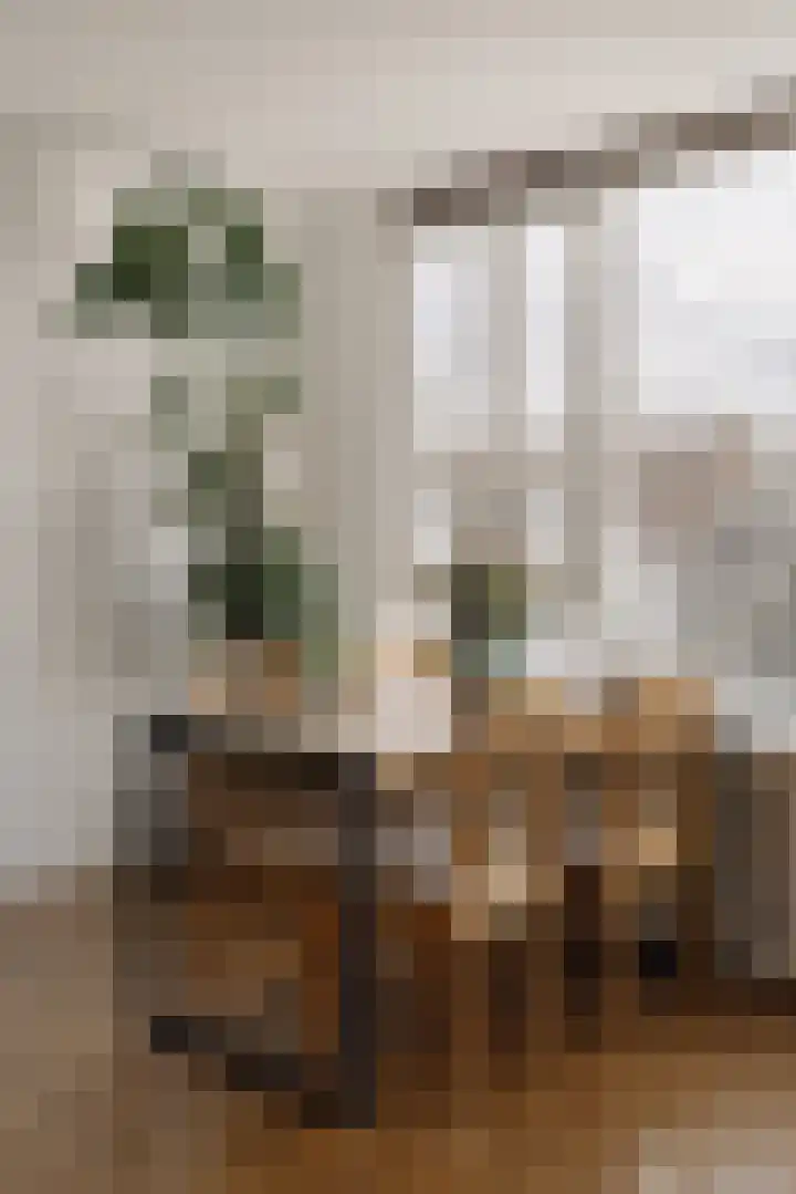 Saenredamstraat 20 E Amsterdam thumbnail 9