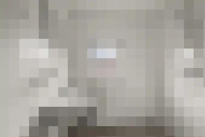 Saenredamstraat 21 Assendelft thumbnail 12