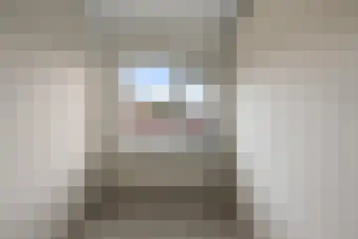 Saenredamstraat 21 Assendelft thumbnail 15