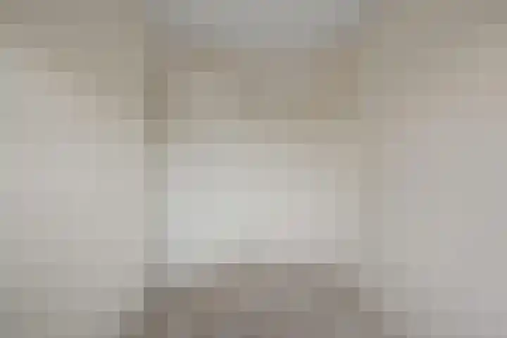 Saenredamstraat 21 Assendelft thumbnail 16