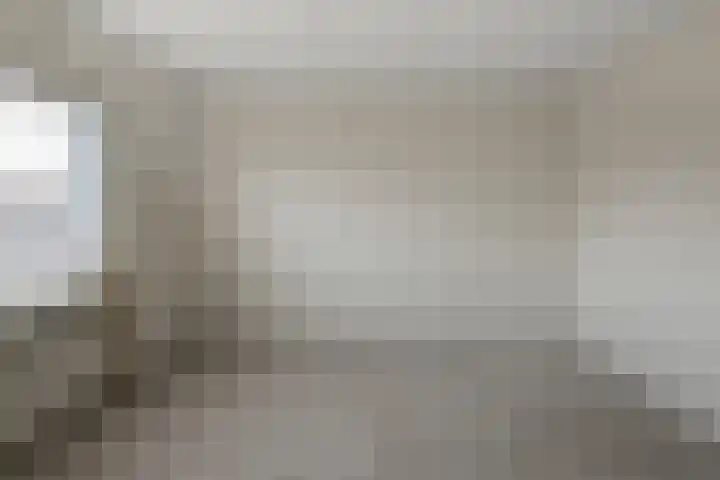 Saenredamstraat 21 Assendelft thumbnail 17