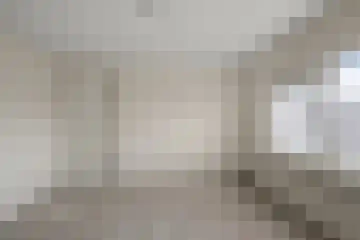 Saenredamstraat 21 Assendelft thumbnail 19