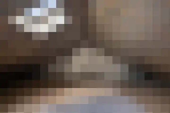 Saenredamstraat 21 Assendelft thumbnail 20