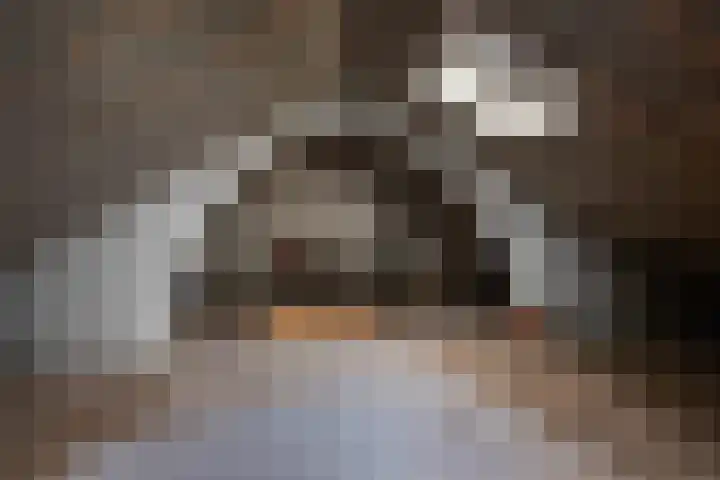 Saenredamstraat 21 Assendelft thumbnail 21