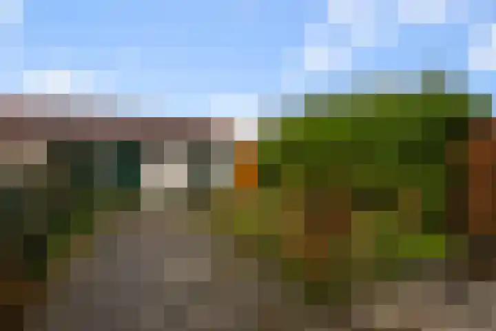 Saenredamstraat 21 Assendelft thumbnail 22