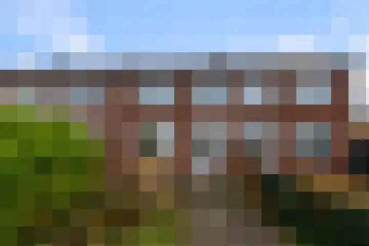 Saenredamstraat 21 Assendelft thumbnail 23