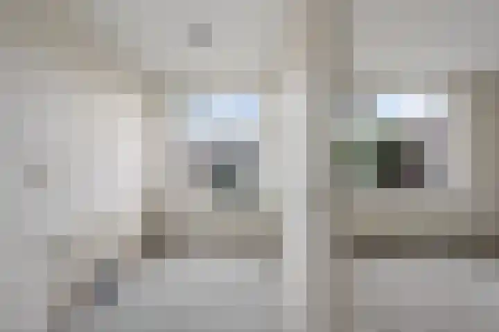 Saenredamstraat 21 Assendelft thumbnail 6
