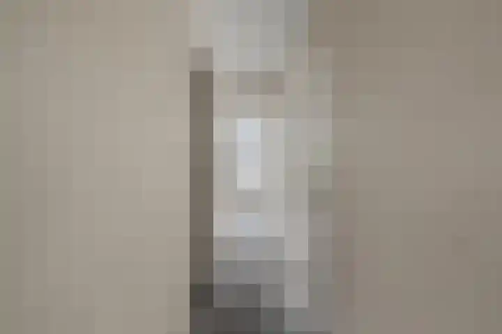 Saenredamstraat 21 Assendelft thumbnail 7