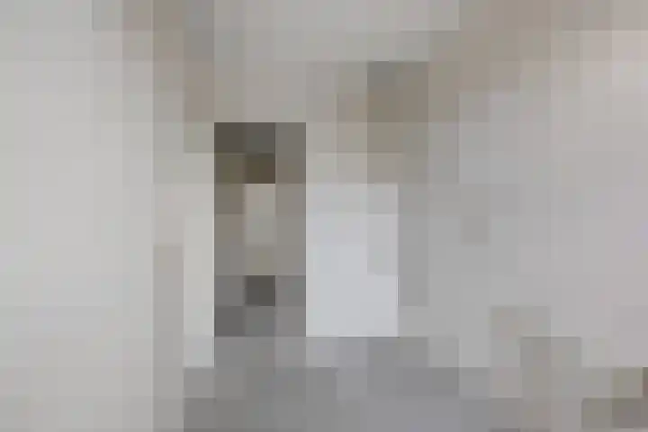 Saenredamstraat 21 Assendelft thumbnail 8