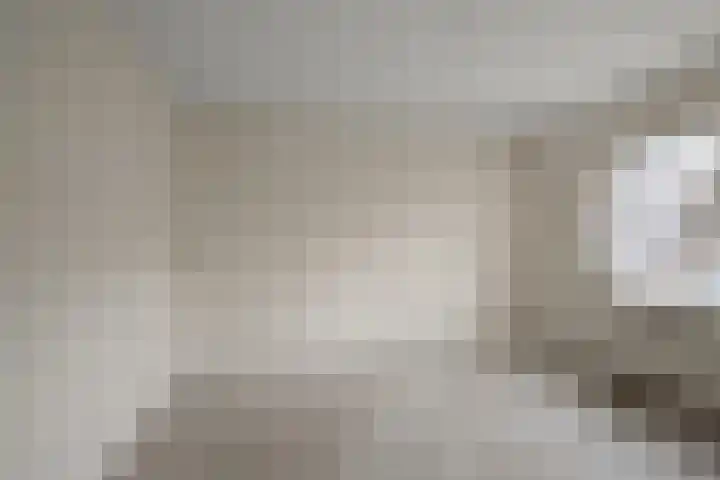Saenredamstraat 21 Assendelft thumbnail 9