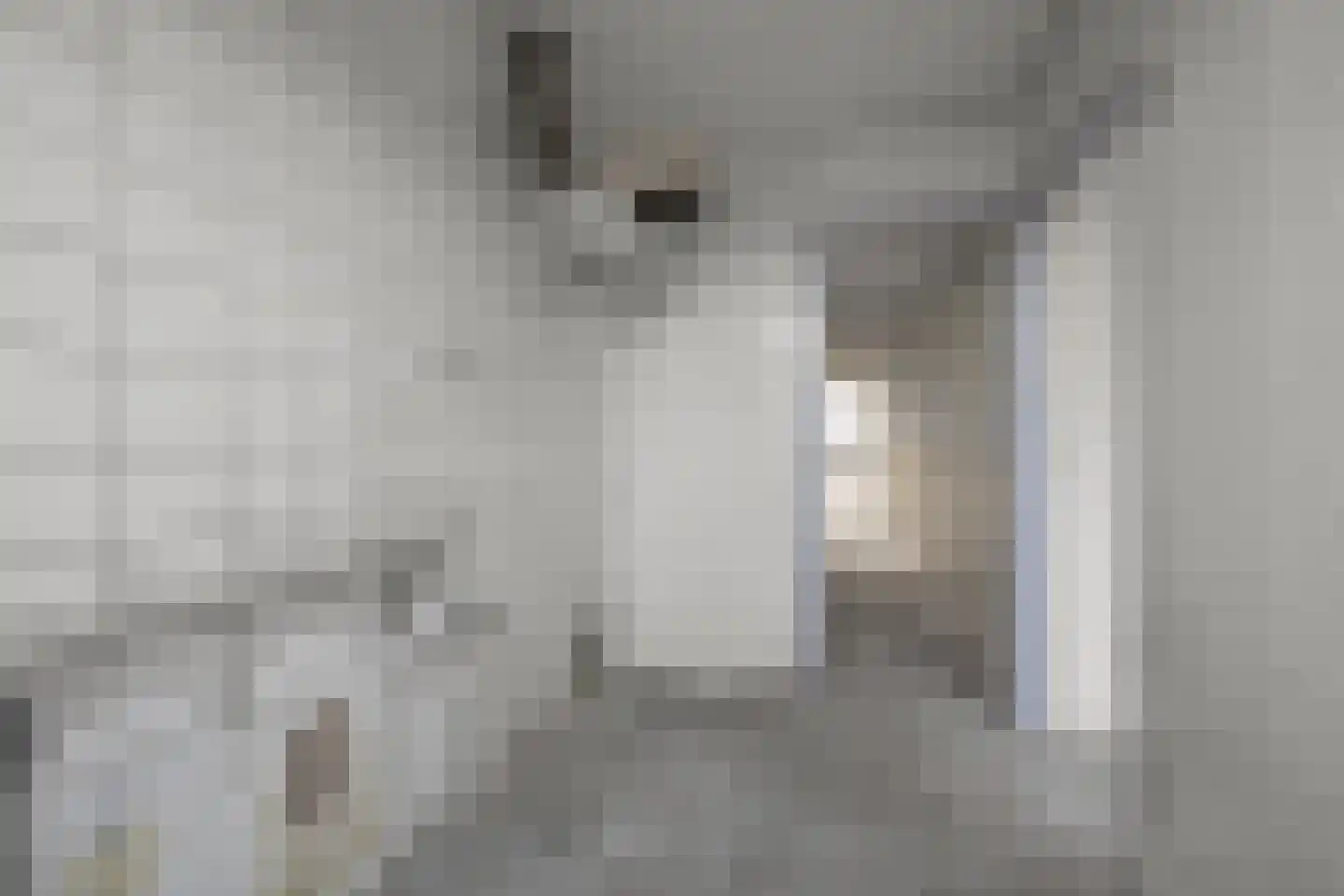 Saenredamstraat 23 Assendelft thumbnail 10