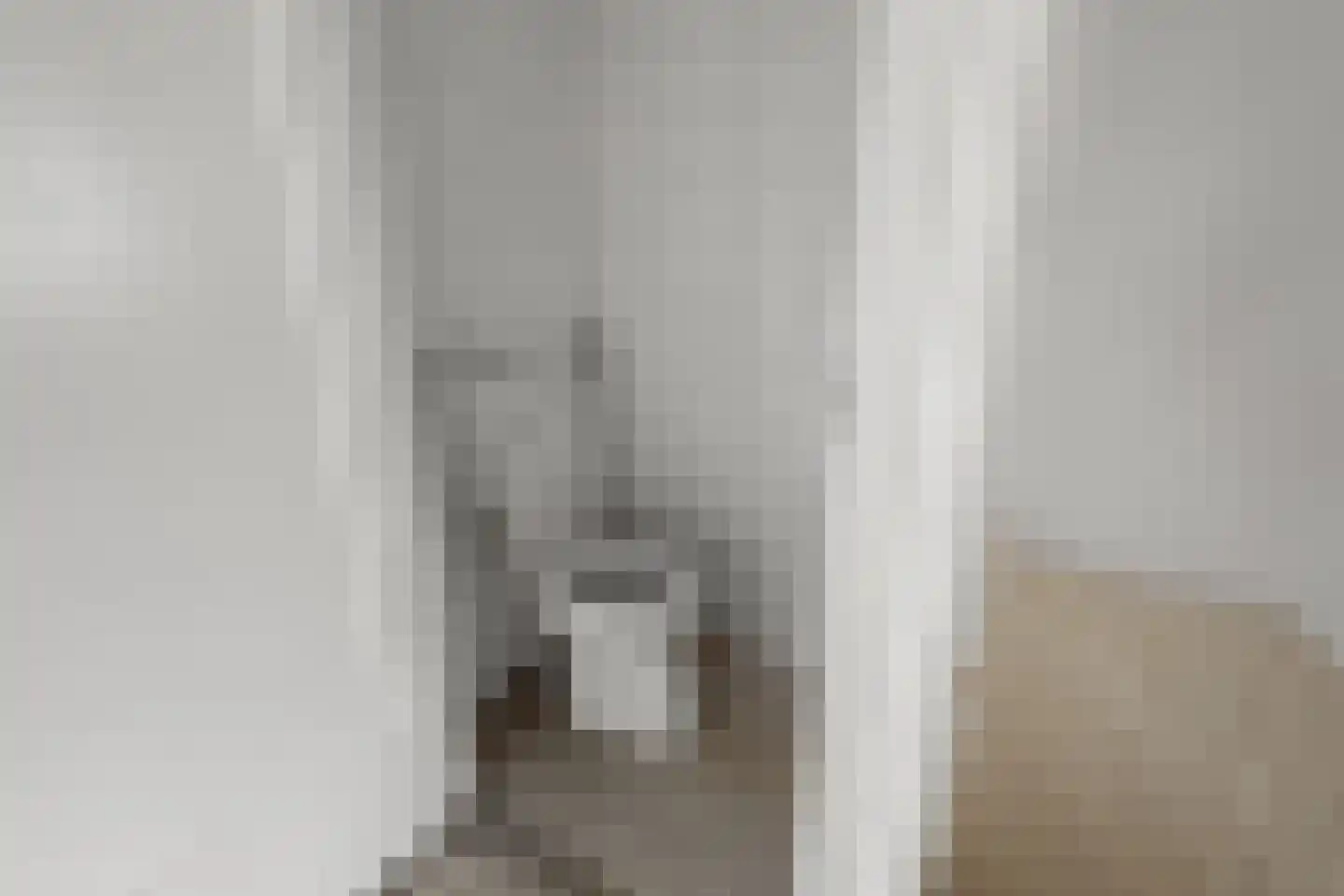 Saenredamstraat 23 Assendelft thumbnail 17