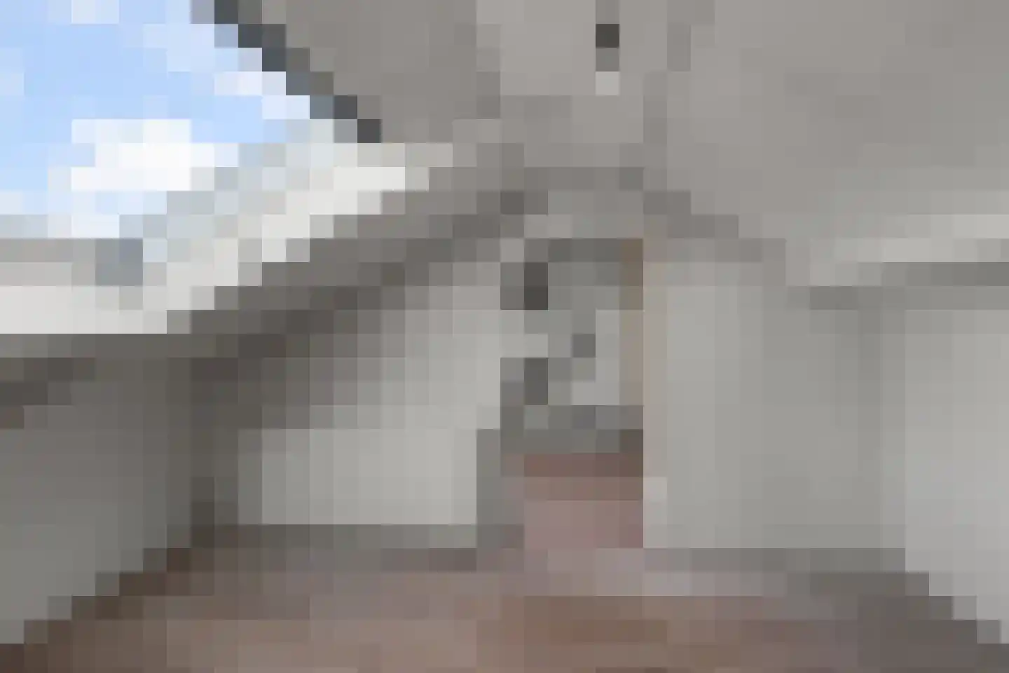 Saenredamstraat 23 Assendelft thumbnail 24