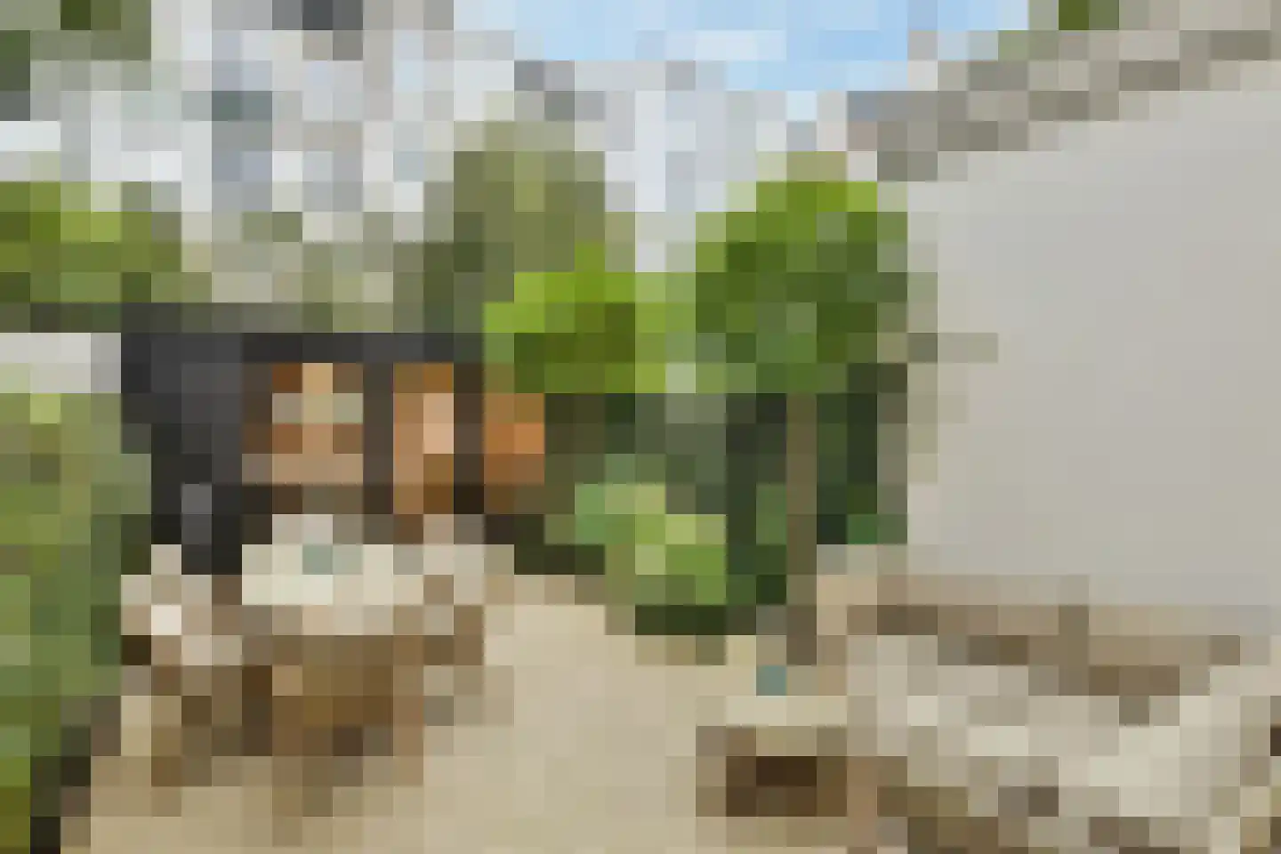 Saenredamstraat 23 H Amsterdam foto 2