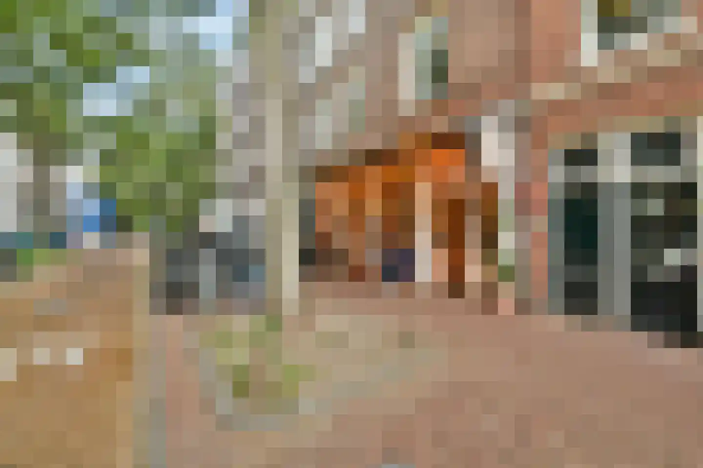 Saenredamstraat 23 H Amsterdam thumbnail 21
