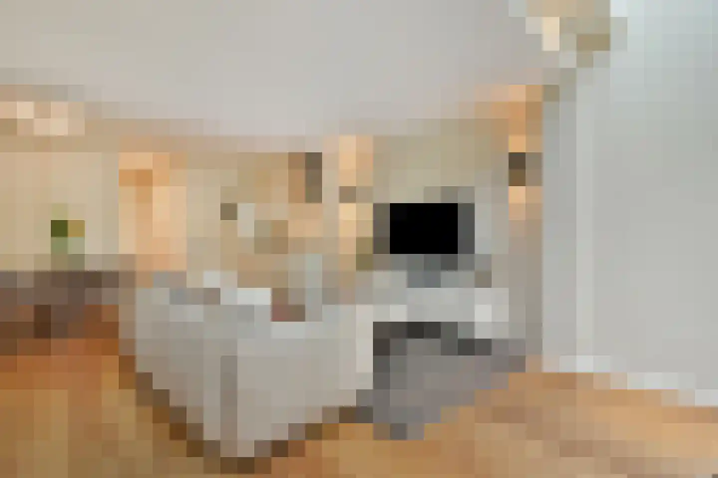 Saenredamstraat 23 H Amsterdam thumbnail 5