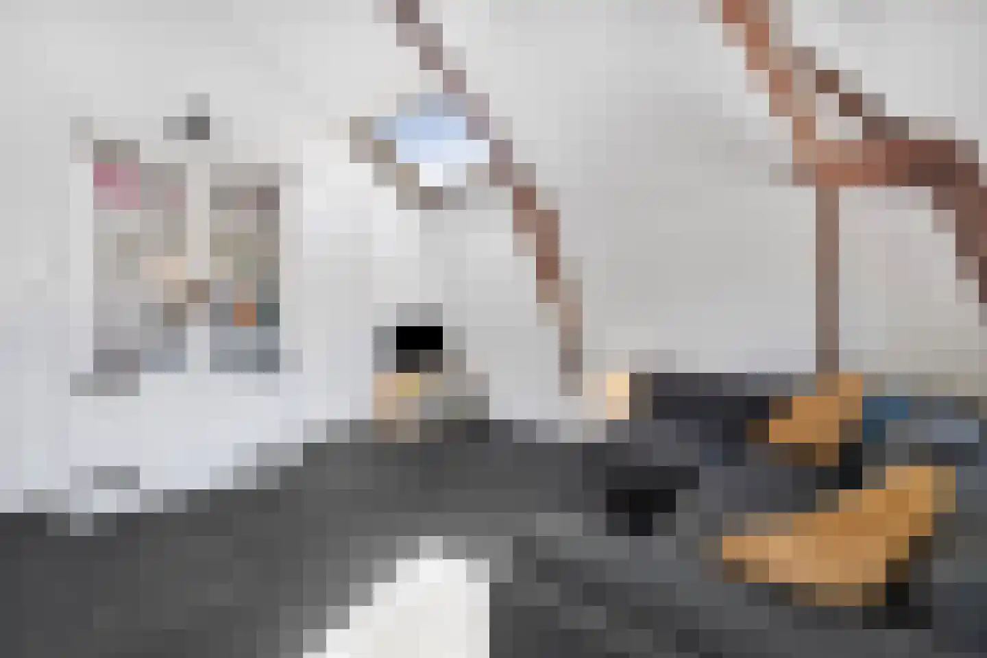 Saenredamstraat 28 E Amsterdam thumbnail 10
