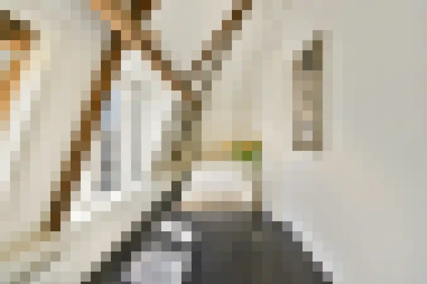 Saenredamstraat 28 E Amsterdam thumbnail 16
