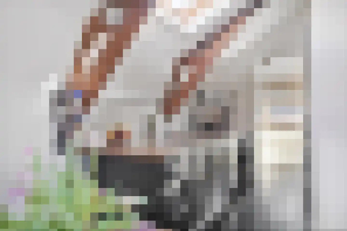 Saenredamstraat 28 E Amsterdam thumbnail 22