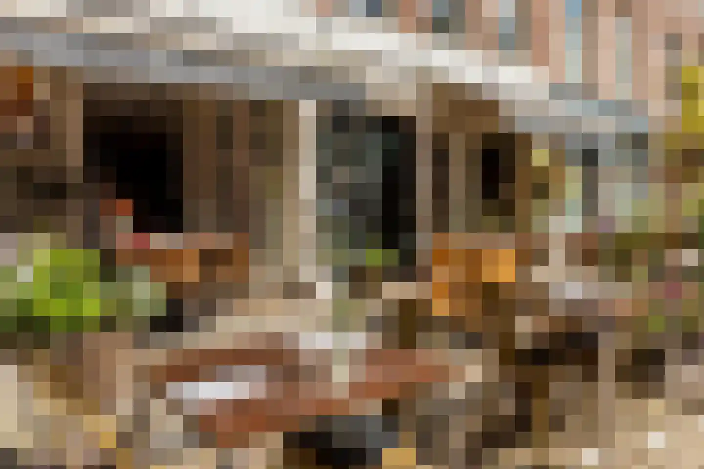 Saenredamstraat 28 E Amsterdam thumbnail 24