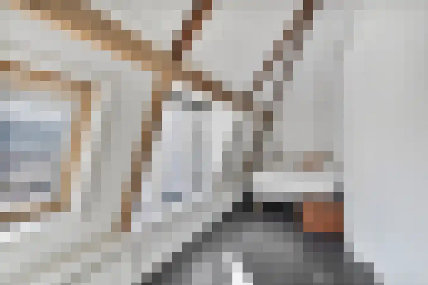 Saenredamstraat 28 E Amsterdam thumbnail 35