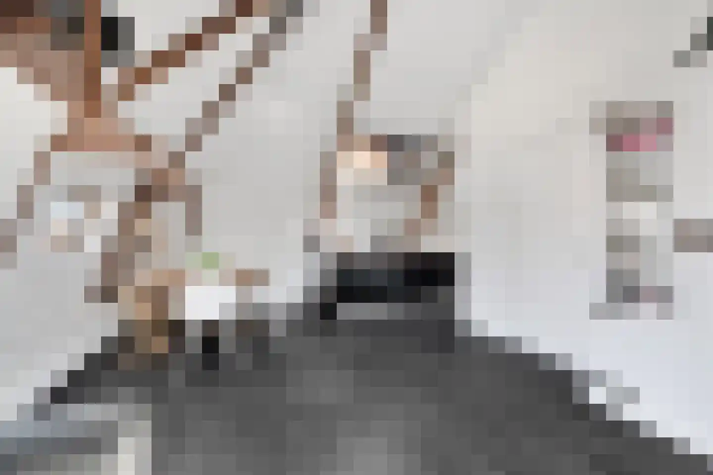 Saenredamstraat 28 E Amsterdam thumbnail 7