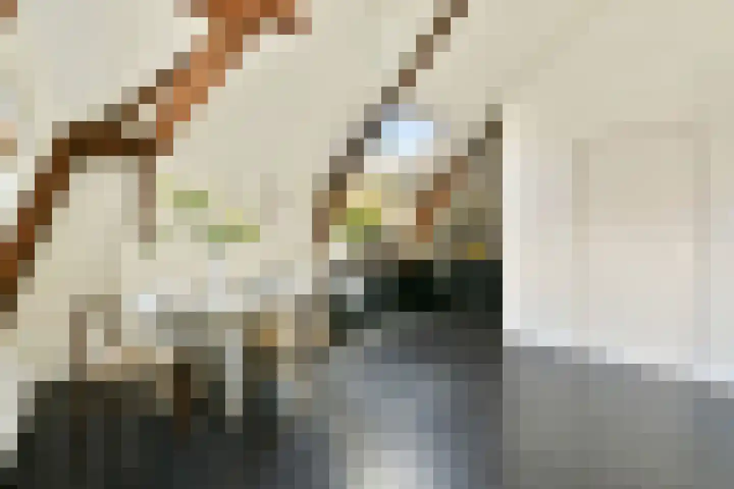 Saenredamstraat 28 E Amsterdam thumbnail 8