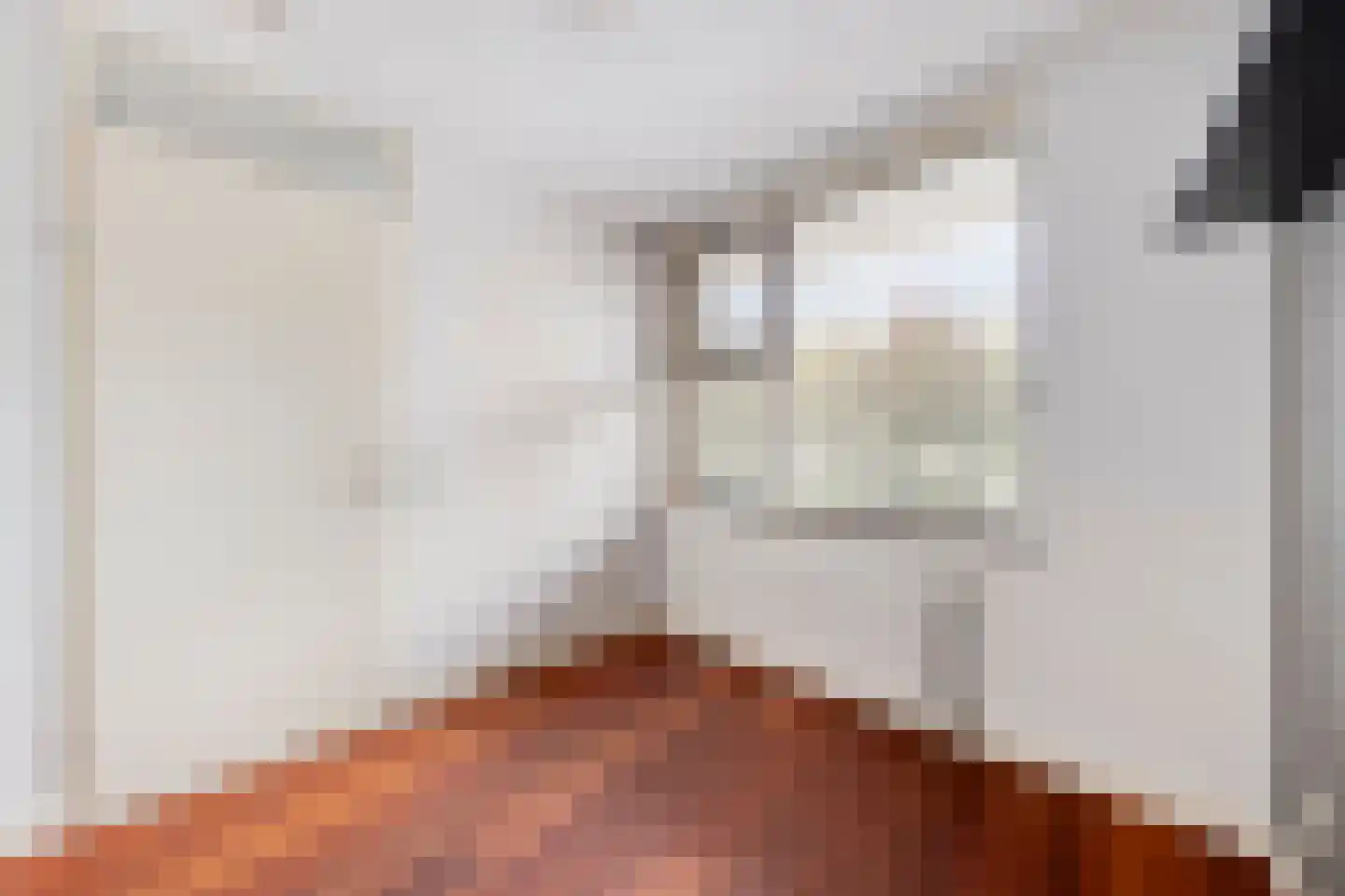 Saenredamstraat 29 Eindhoven thumbnail 24