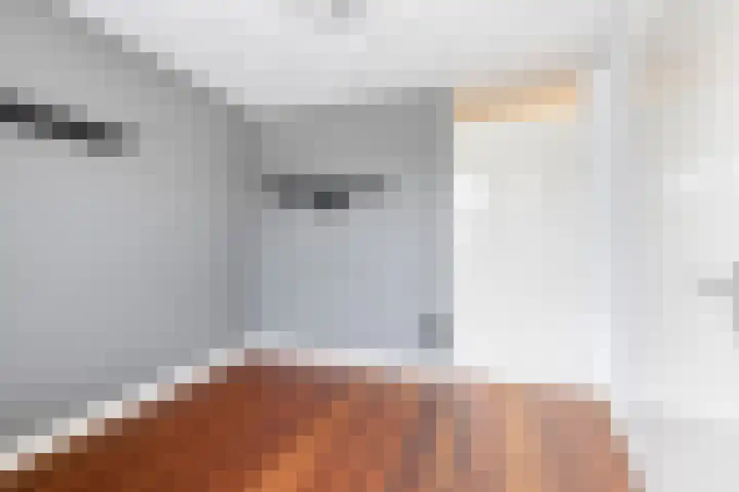 Saenredamstraat 29 Eindhoven thumbnail 25