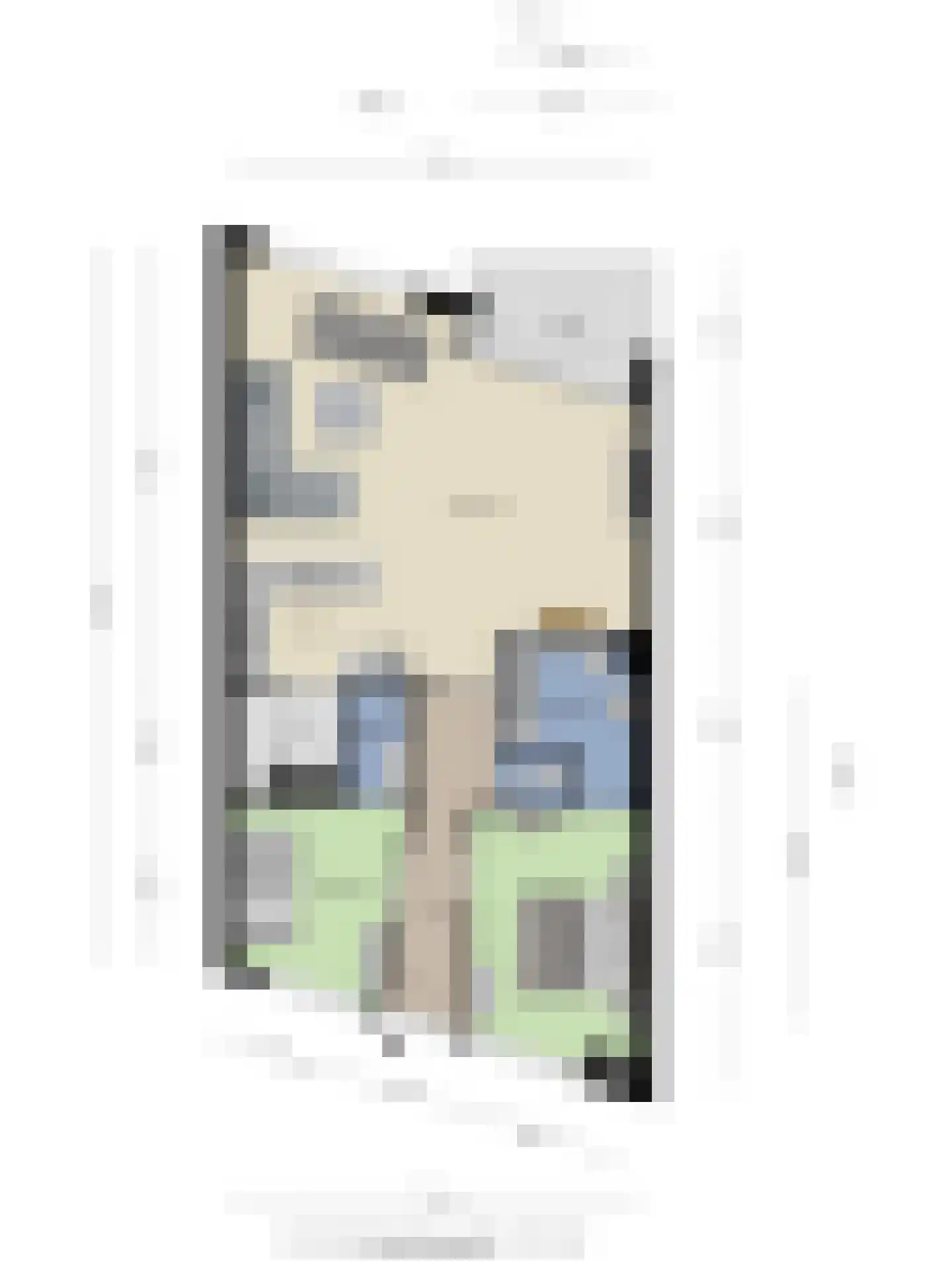 Saenredamstraat 29 Eindhoven thumbnail 33