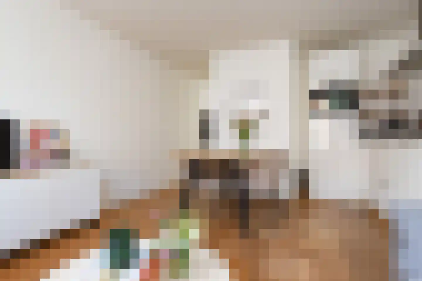Saenredamstraat 36 C Amsterdam thumbnail 7