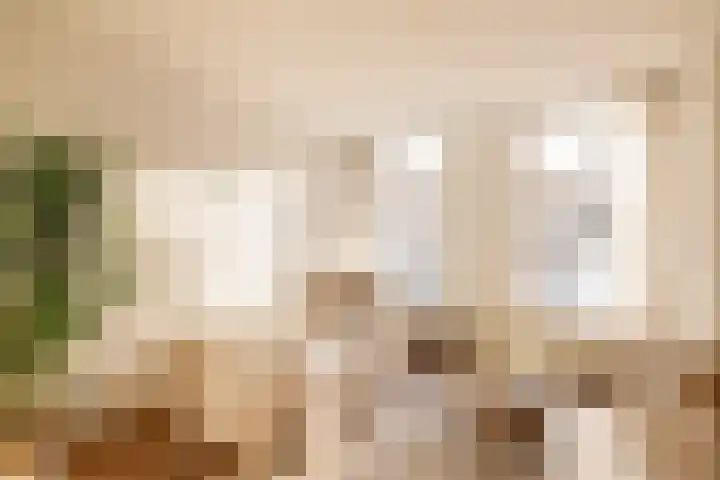 Saenredamstraat 36 E in Amsterdam