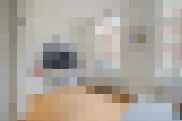 Saenredamstraat 36 G Amsterdam thumbnail 8