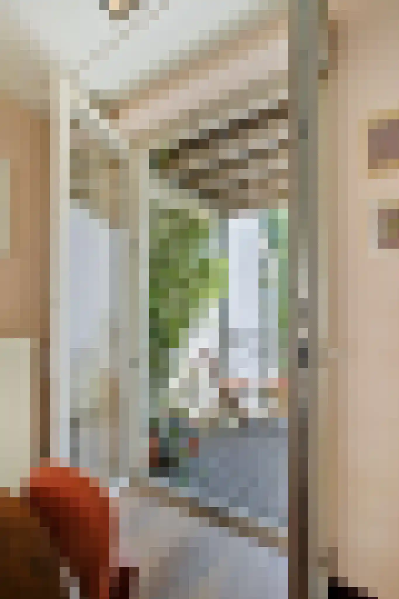 Saenredamstraat 38 2 Amsterdam thumbnail 14