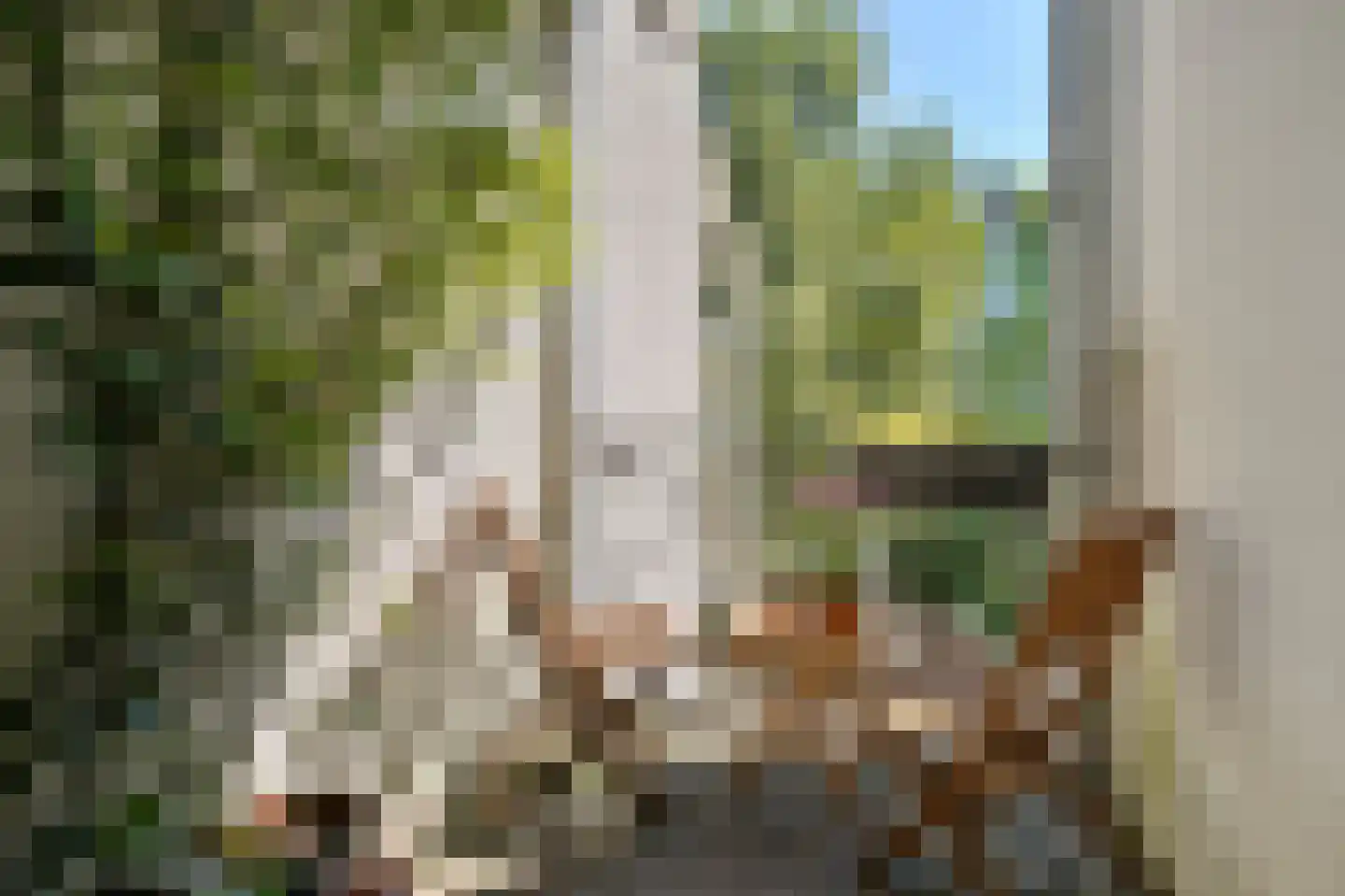 Saenredamstraat 38 2 Amsterdam thumbnail 15