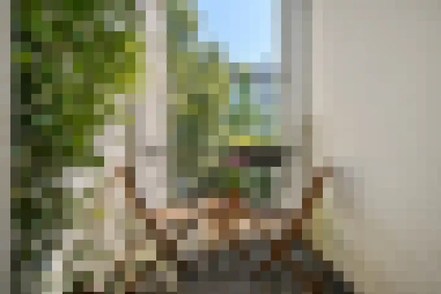 Saenredamstraat 38 2 Amsterdam thumbnail 16