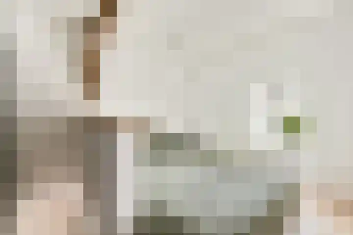 Saenredamstraat 4 2 Amsterdam thumbnail 18