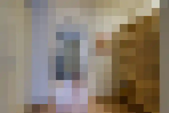 Saenredamstraat 49 Eindhoven thumbnail 16