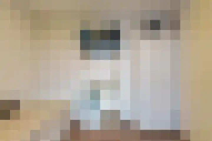 Saenredamstraat 49 Eindhoven thumbnail 19