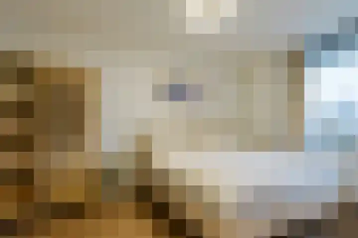 Saenredamstraat 49 Eindhoven thumbnail 20
