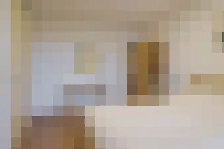 Saenredamstraat 49 Eindhoven thumbnail 22