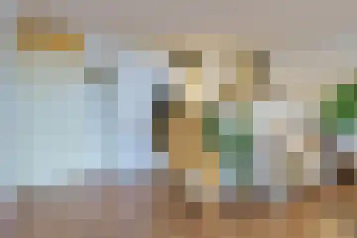 Saenredamstraat 49 Eindhoven thumbnail 38