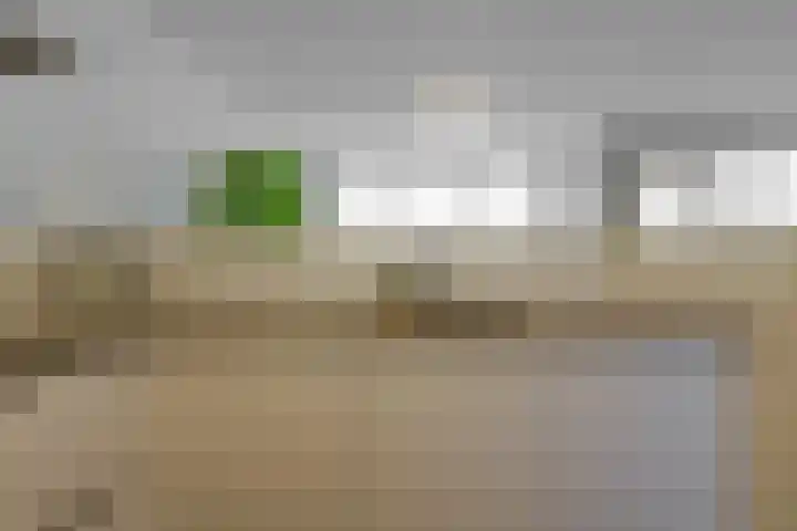 Saenredamstraat 49 Eindhoven thumbnail 41