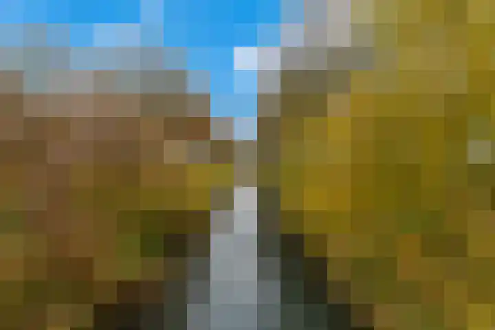 Saenredamstraat 49 Eindhoven thumbnail 52
