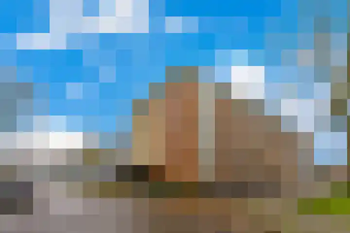 Saenredamstraat 49 Eindhoven thumbnail 7