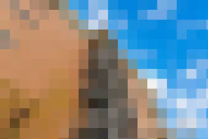 Saenredamstraat 49 Eindhoven thumbnail 8