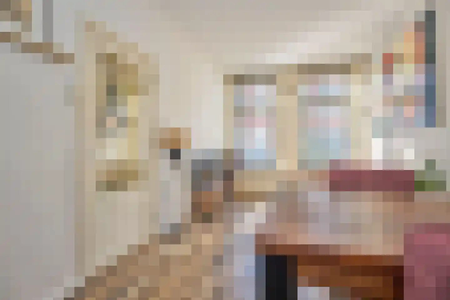 Saenredamstraat 5 ZW Haarlem thumbnail 18